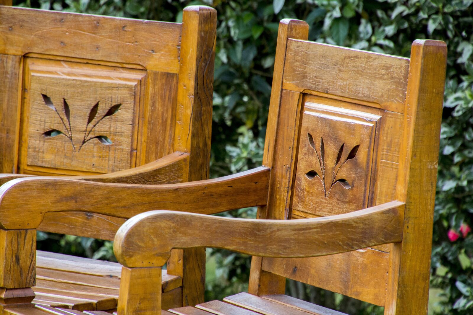 Canon EOS 700D (EOS Rebel T5i / EOS Kiss X7i) sample photo. Banks, wood, garden photography