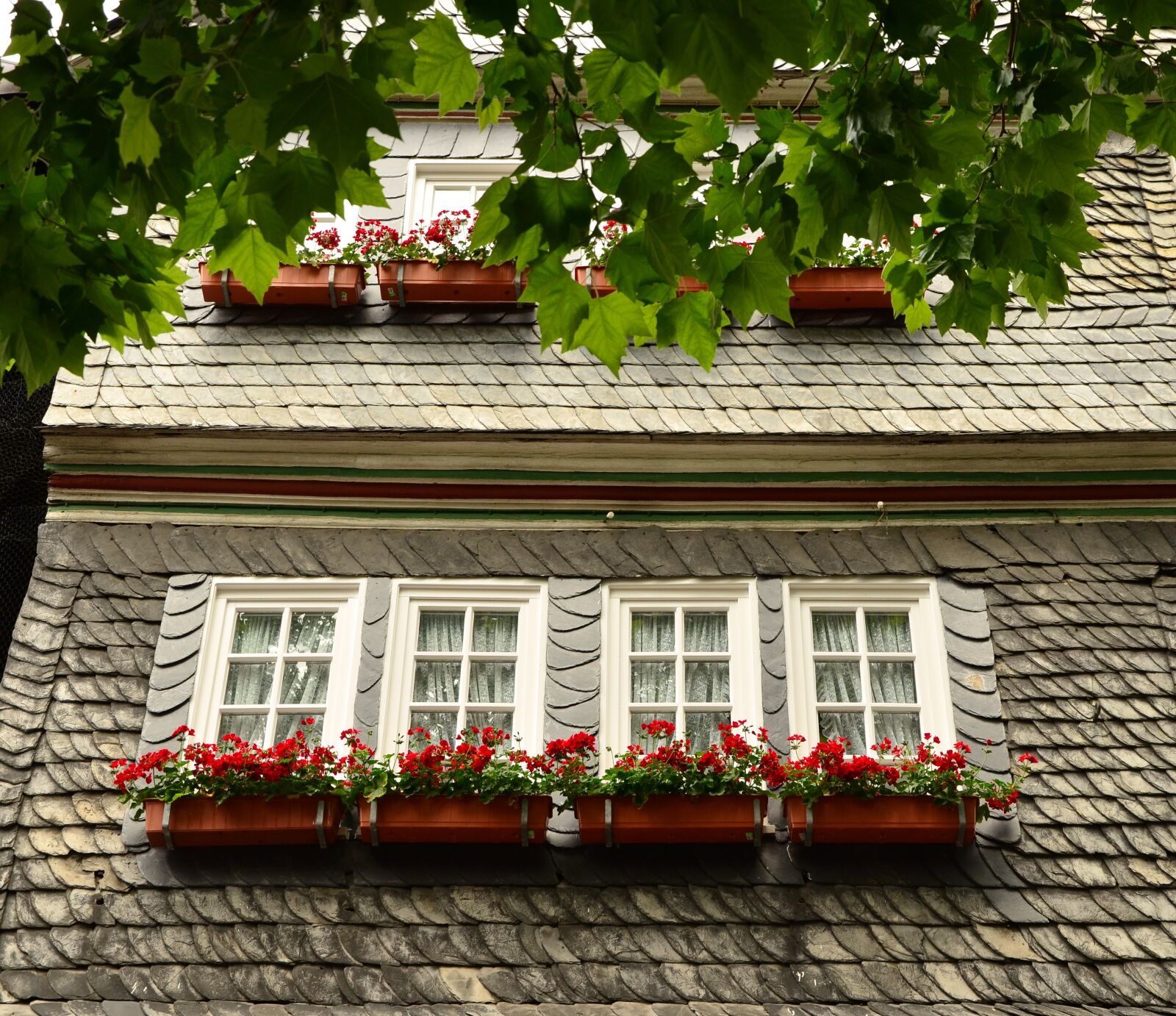 Nikon D5100 sample photo. Flower boxes, house, window photography