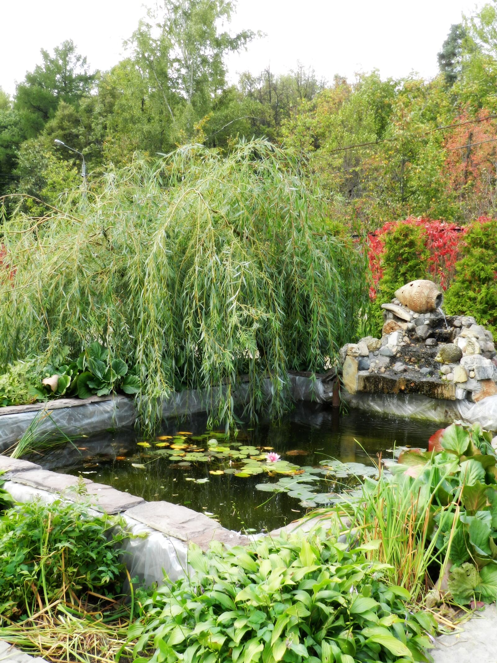 Nikon Coolpix P500 sample photo. Willow, fountain, nature photography