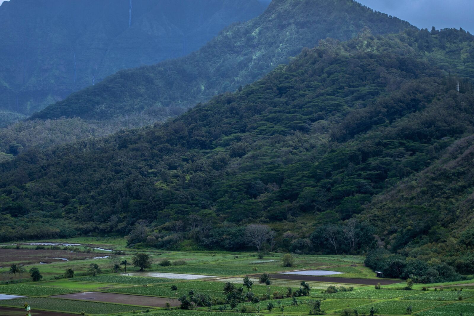 Nikon D5200 sample photo. Valley, cropland, landscape, tree photography