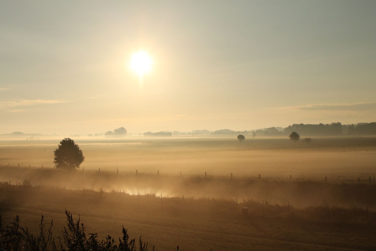Canon EOS 1100D (EOS Rebel T3 / EOS Kiss X50) sample photo. Sunrise, fields, fog photography