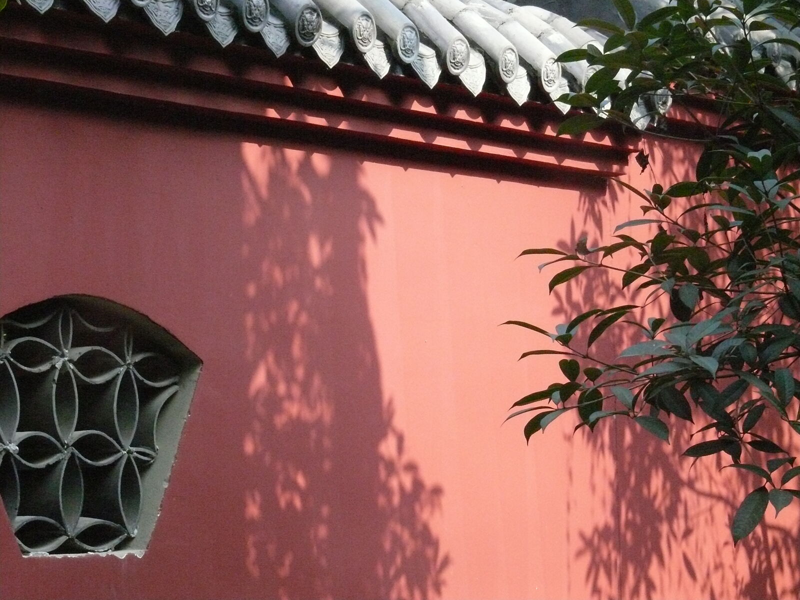 Panasonic DMC-FZ50 sample photo