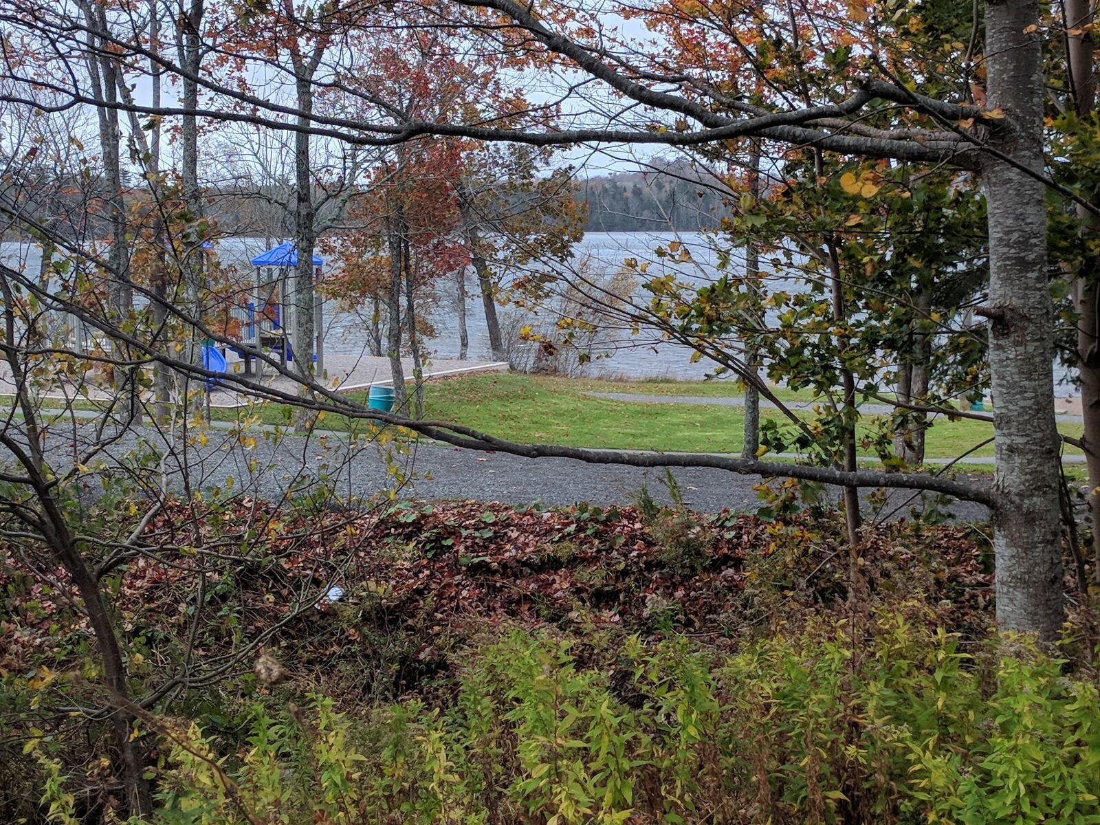 LG Nexus 5X sample photo. Fall, leaves, lake, park photography