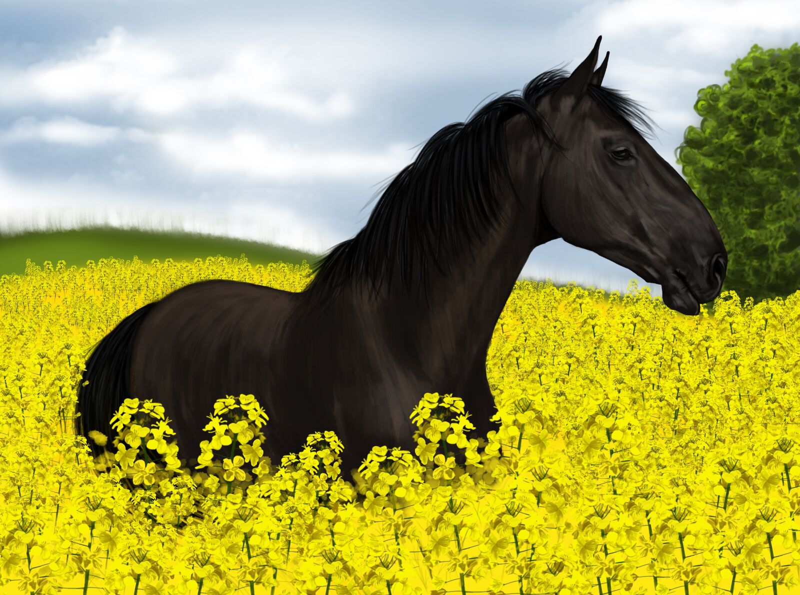 Nikon D5100 sample photo. Horse, animal, nature photography