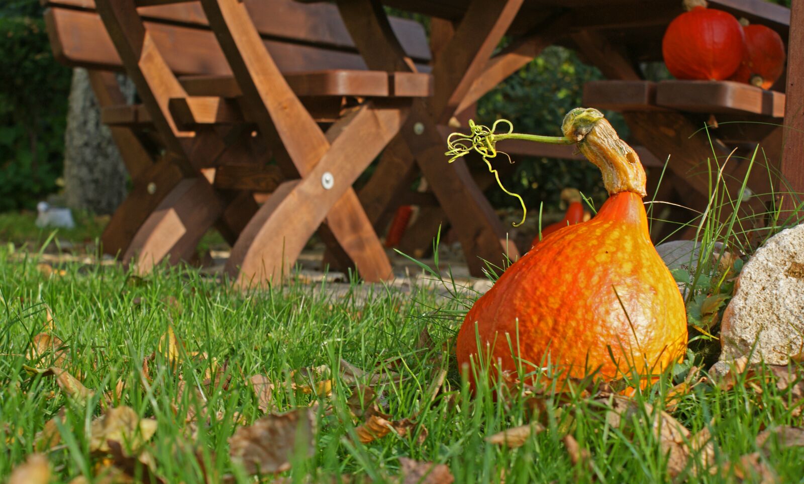 Sony Alpha DSLR-A350 sample photo. Pumpkin, autumn, ornamental pumpkins photography