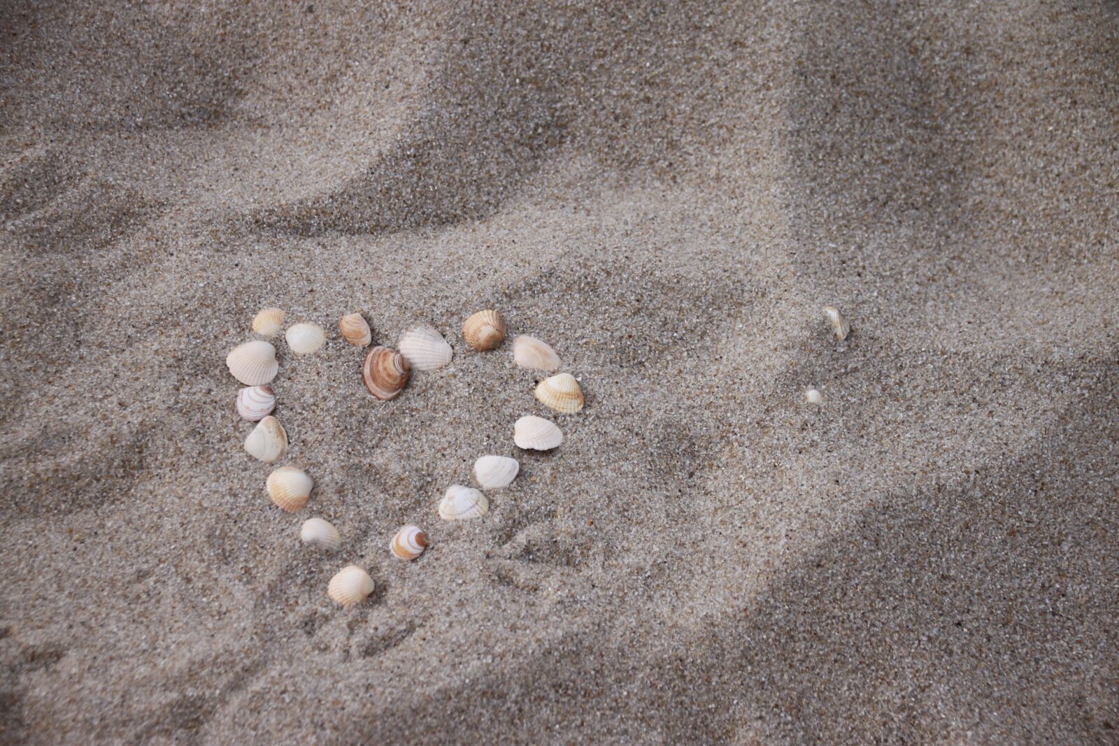 Canon EOS 500D (EOS Rebel T1i / EOS Kiss X3) sample photo. Beach, heart, north sea photography