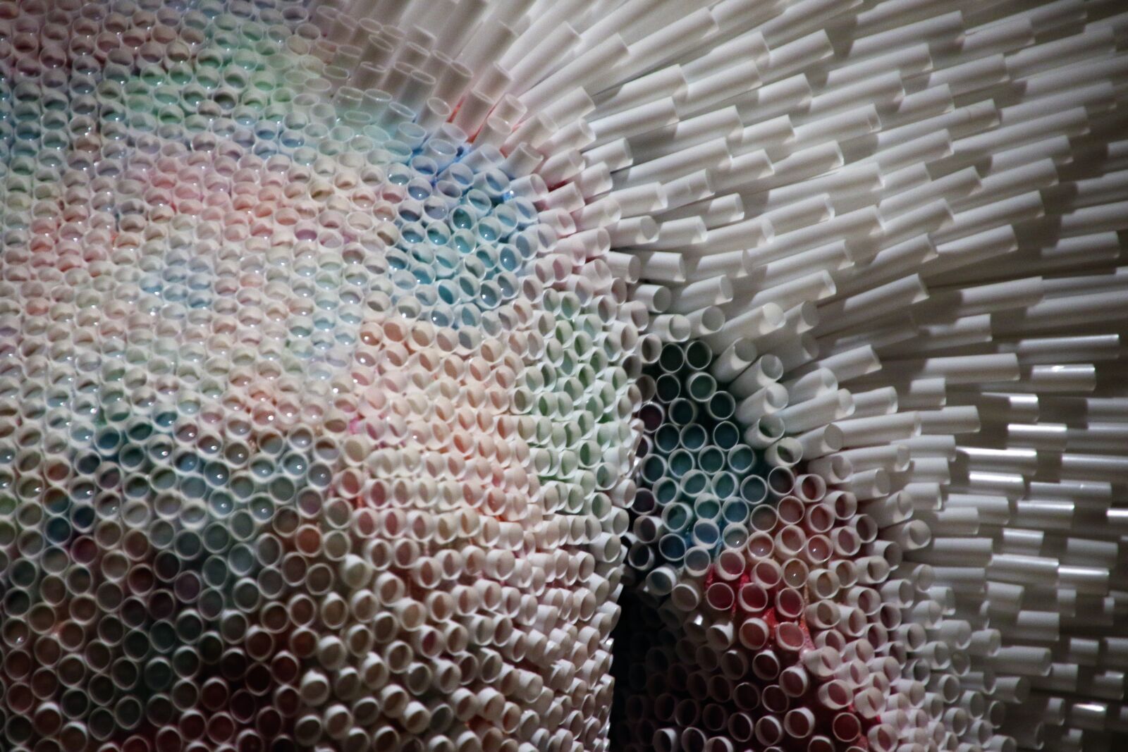 Canon EOS 7D Mark II sample photo. Circles, drink, plastic, recycling photography