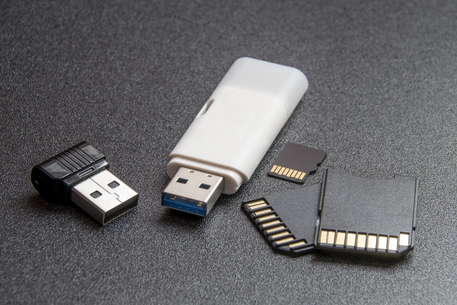 Nikon D3100 sample photo. Computer accessories, computers, electronics photography