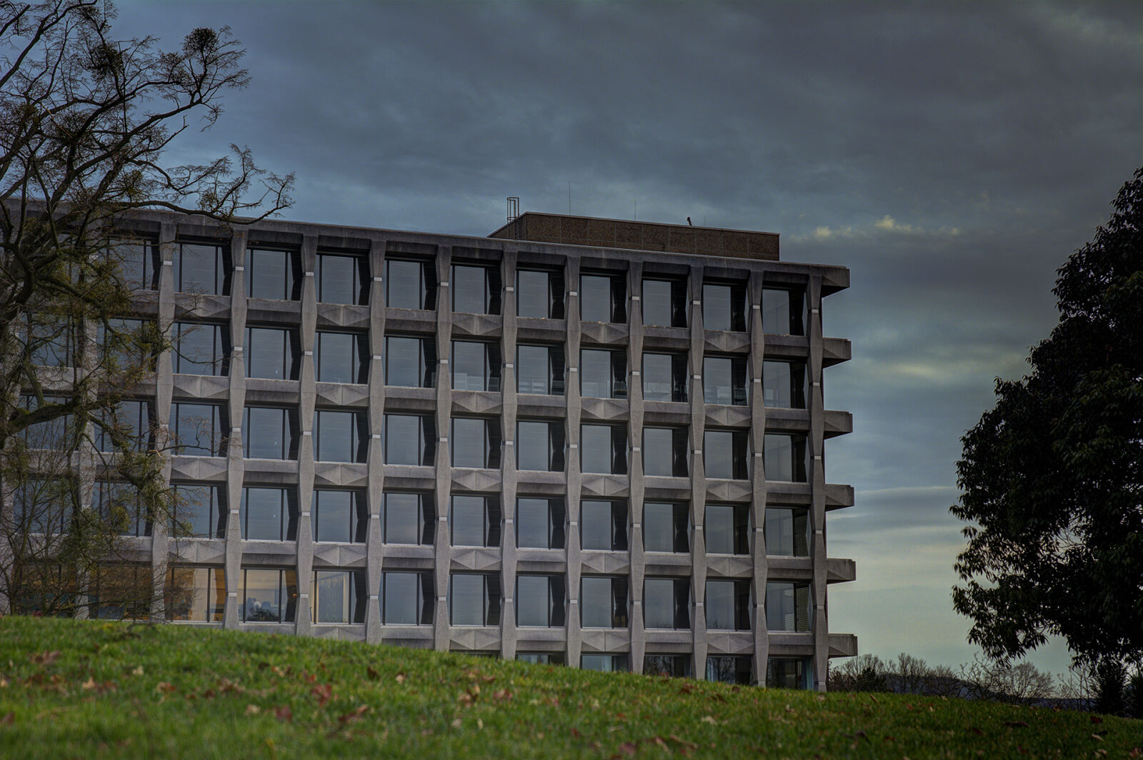 Nikon D7100 sample photo. Building, contrast photography