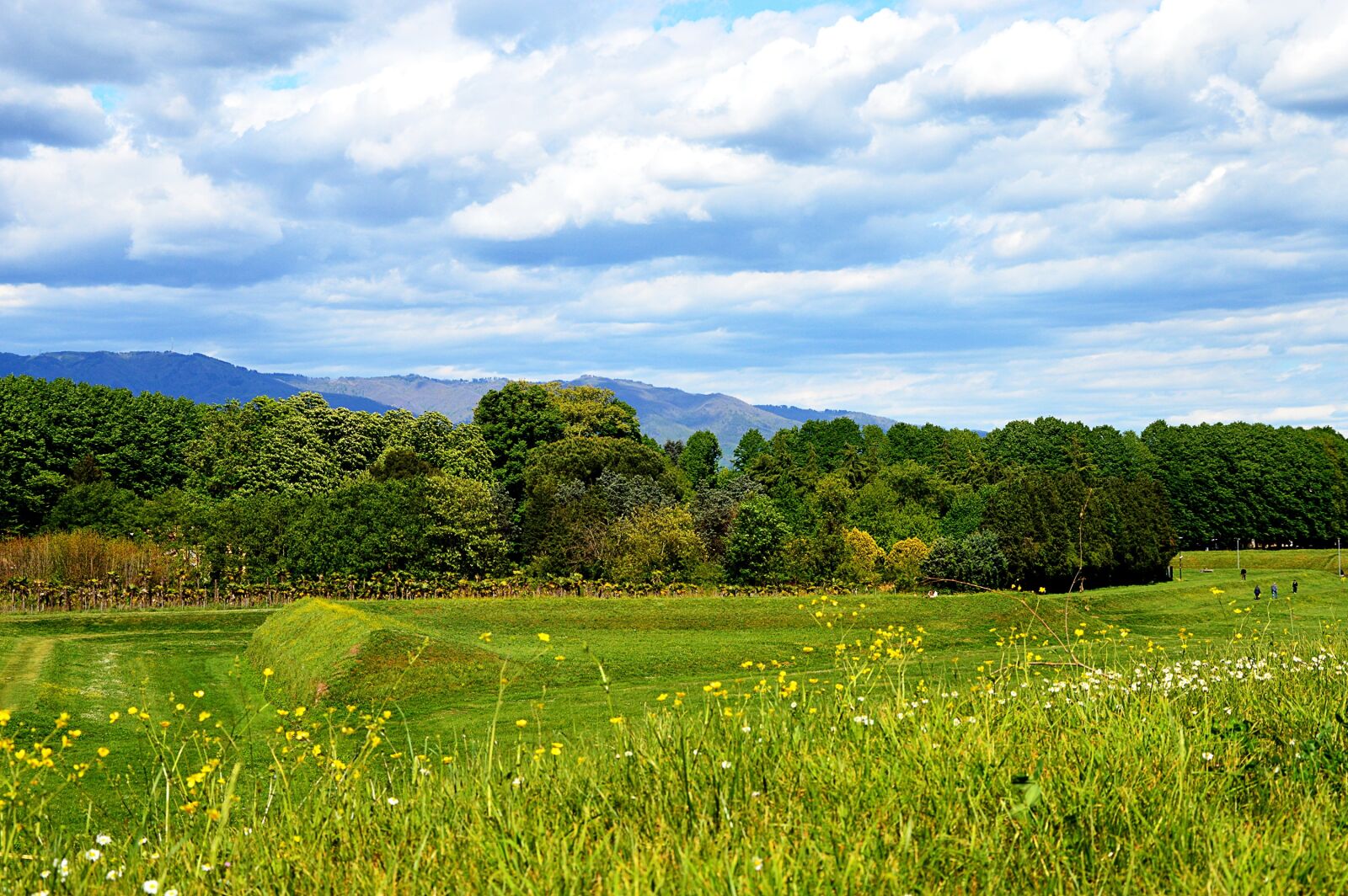 Nikon D3200 sample photo. Italy, landscape, tuscany photography