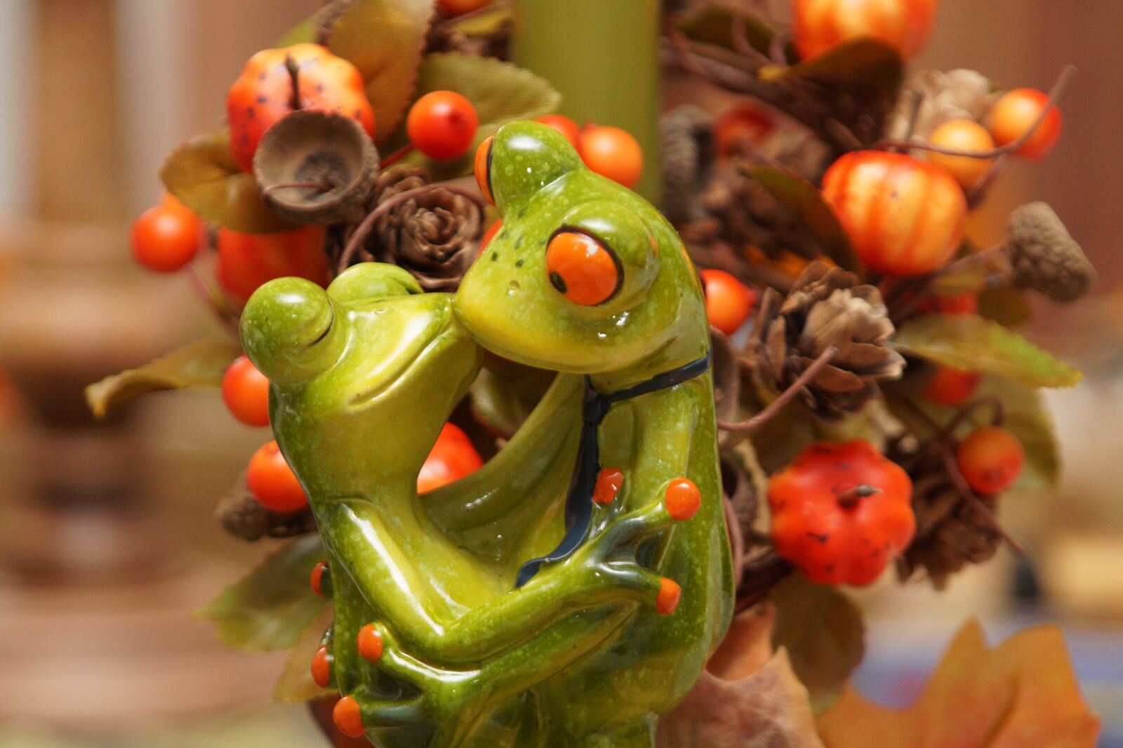 Sony SLT-A58 sample photo. Frog, frogs, funny photography