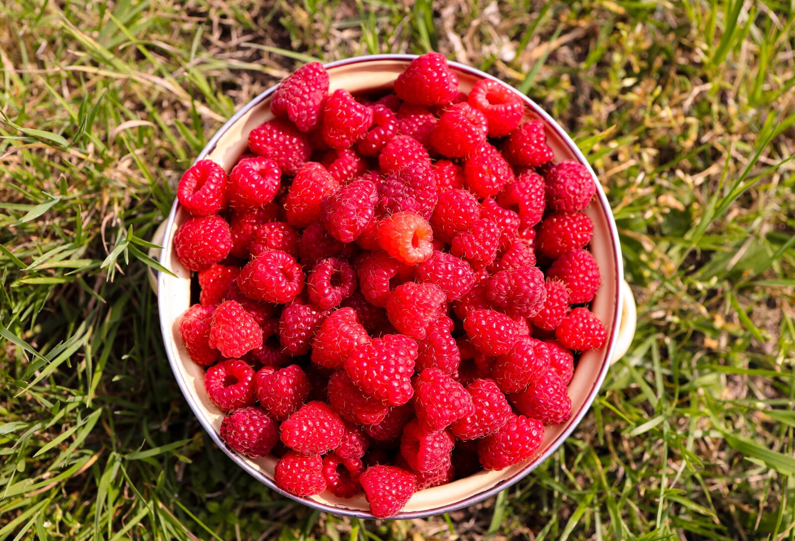 Canon EOS R + Canon RF 35mm F1.8 IS STM Macro sample photo. Raspberries, raspberry, fruits photography