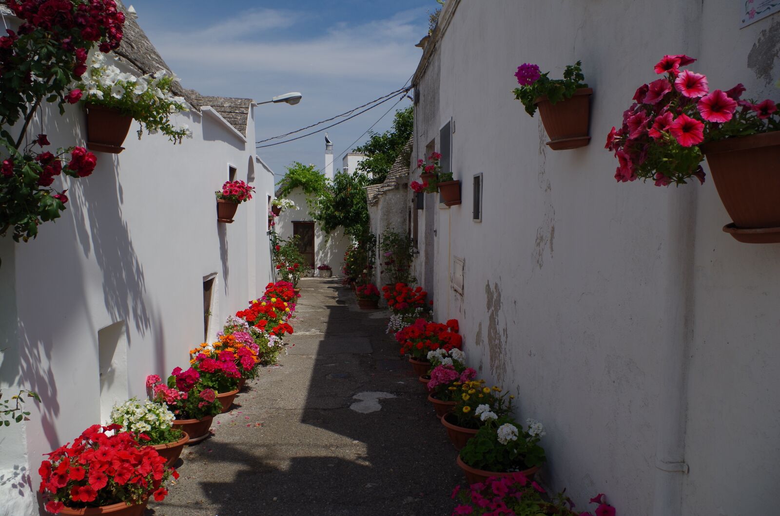 Pentax K-50 sample photo. Alberobello, puglia, apulia photography