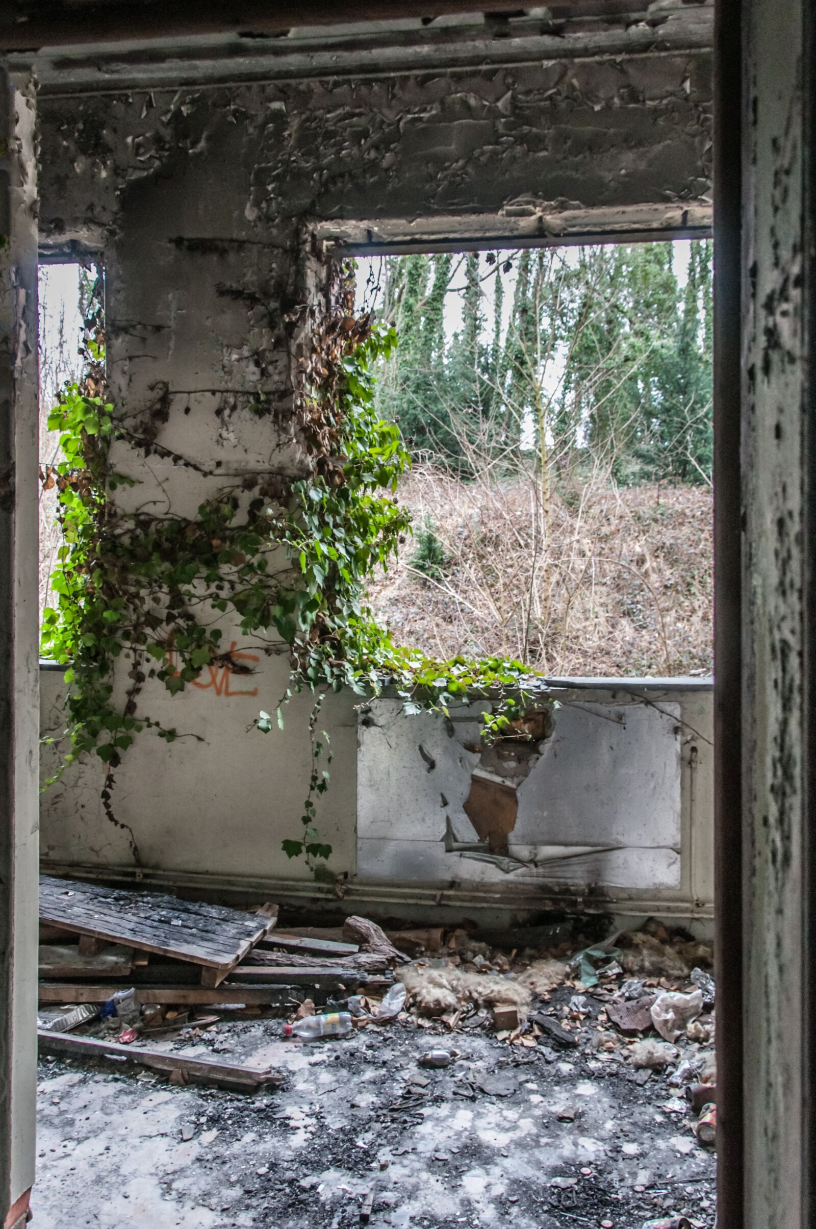 Nikon D90 sample photo. Background, building, leave photography