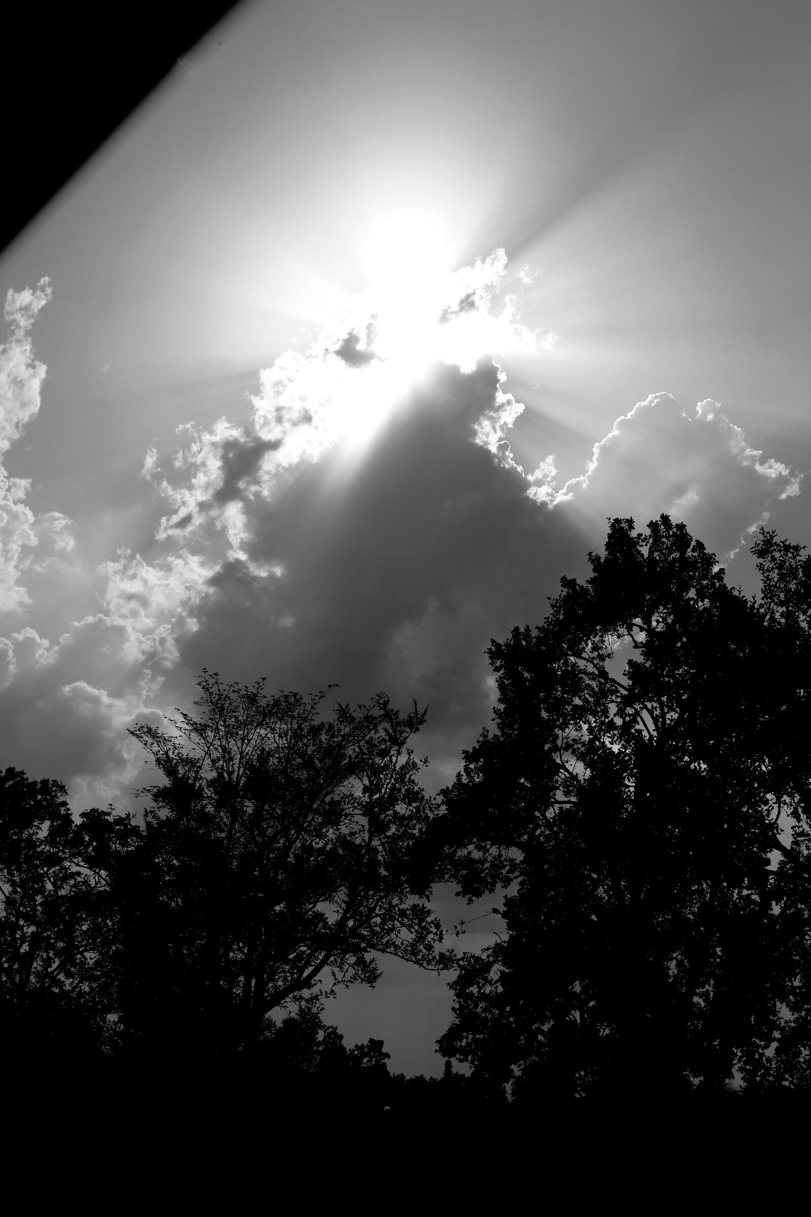 Canon EOS 1300D (EOS Rebel T6 / EOS Kiss X80) sample photo. Black, and, white, clouds photography
