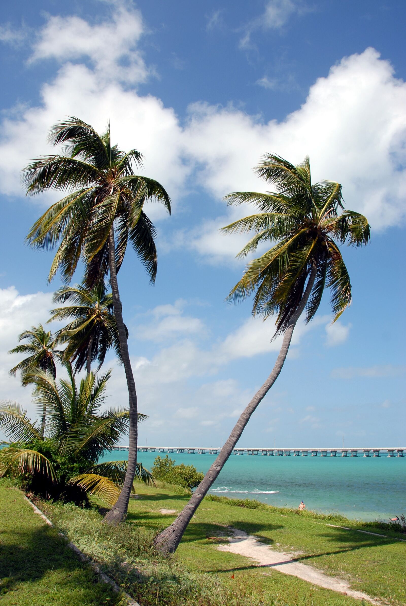 Nikon D200 sample photo. Bahia honda state park photography