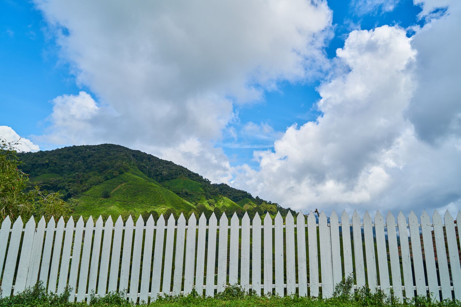 Sony a7R II sample photo. Landscape, nature, mountain photography