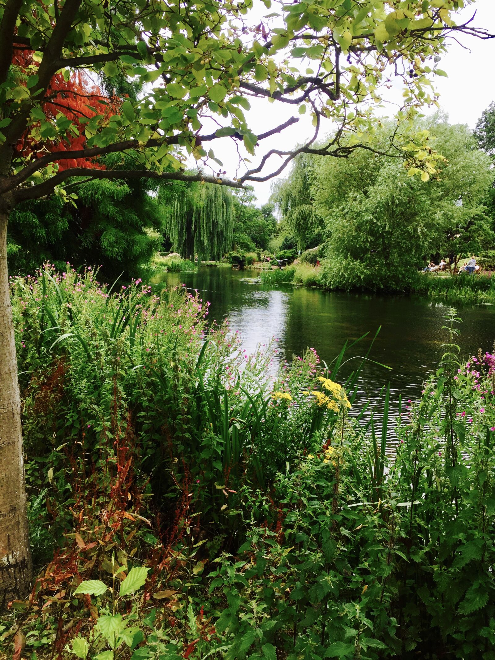 iPhone 6 Plus back camera 4.15mm f/2.2 sample photo. Lake photography
