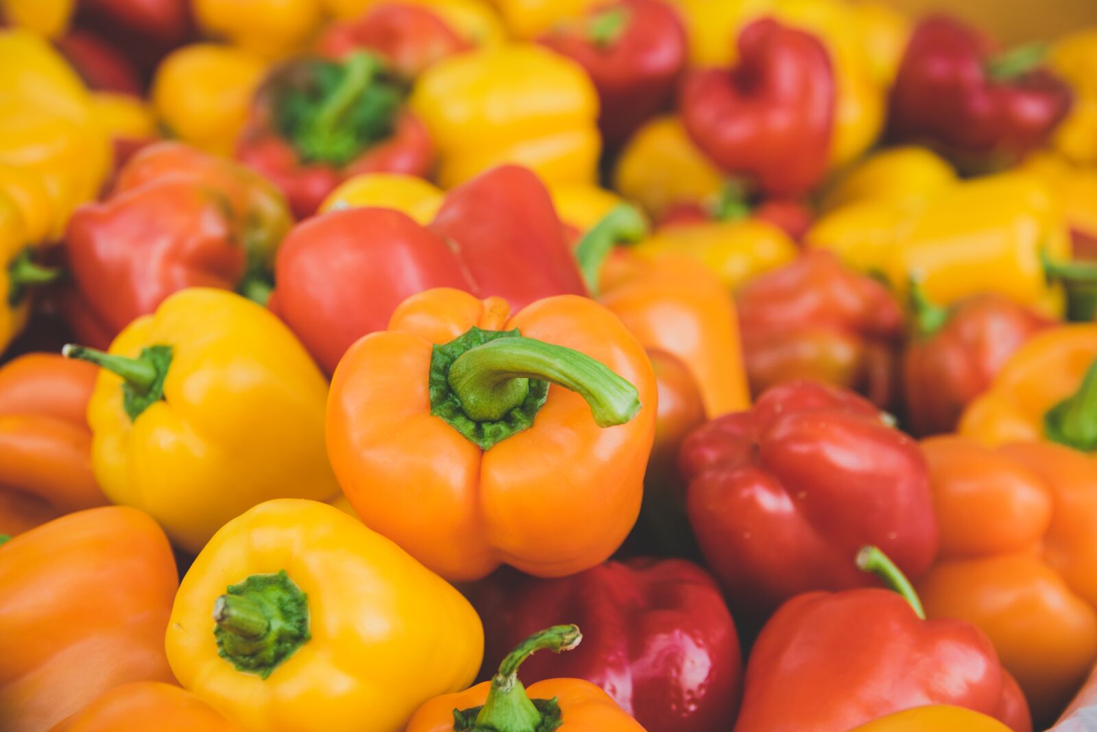 Nikon D3300 sample photo. Peppers, yellow bell peppers photography