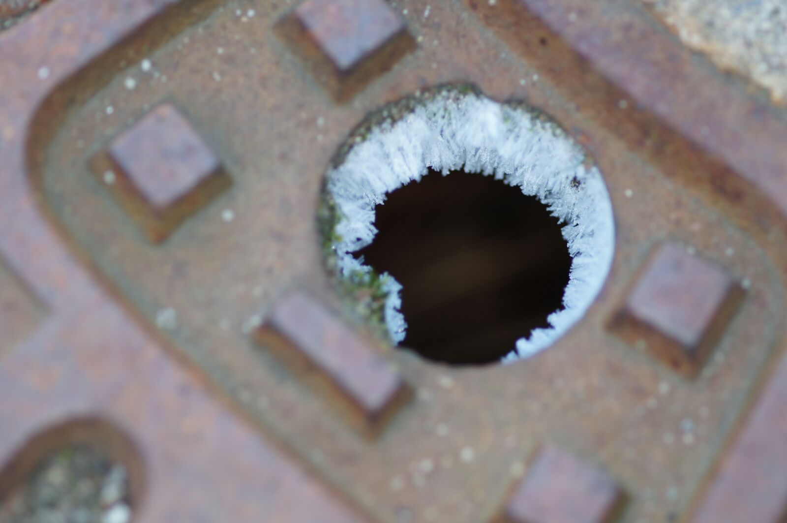 Sony Alpha DSLR-A580 sample photo. Drain, iced, winter photography