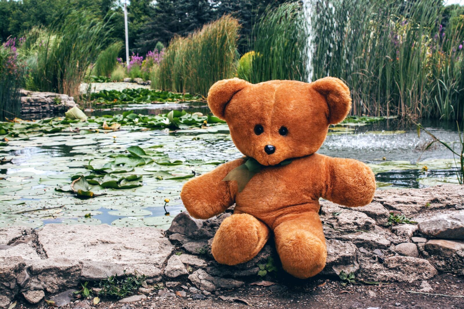 Canon EOS 450D (EOS Rebel XSi / EOS Kiss X2) sample photo. Bear, teddy, toy photography