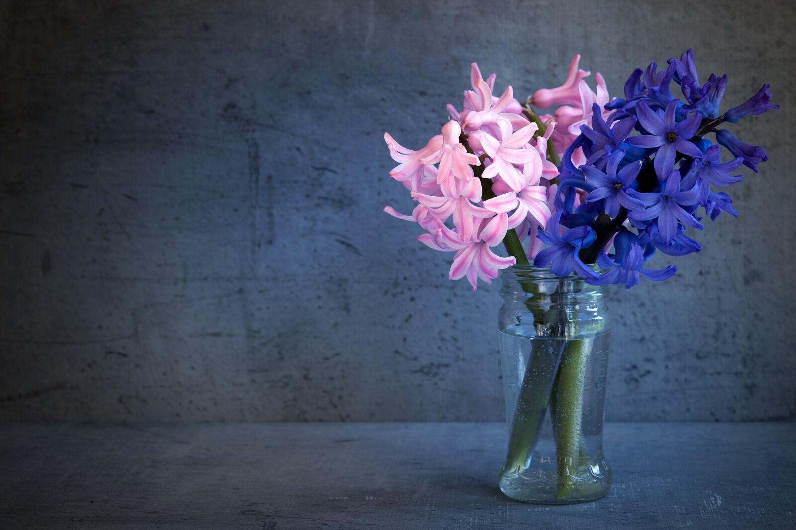 Nikon D7100 sample photo. Hyacinth, flowers, spring flower photography