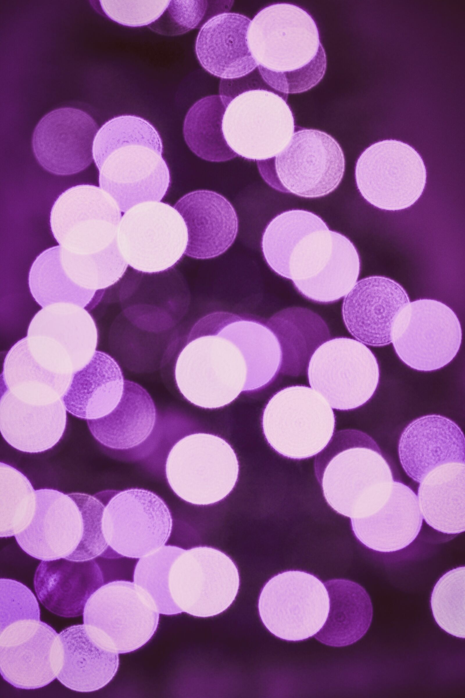 Nikon D3100 sample photo. Bokeh, blue, light photography