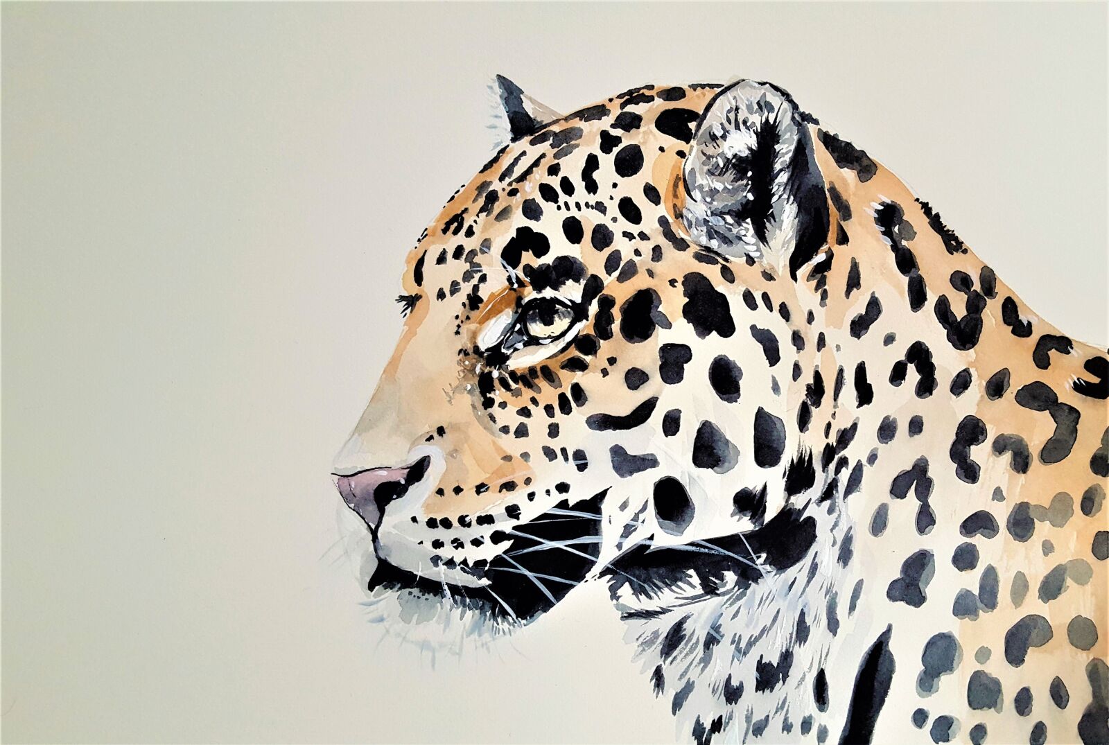 Samsung Galaxy S6 sample photo. Leopard, cat, beast photography