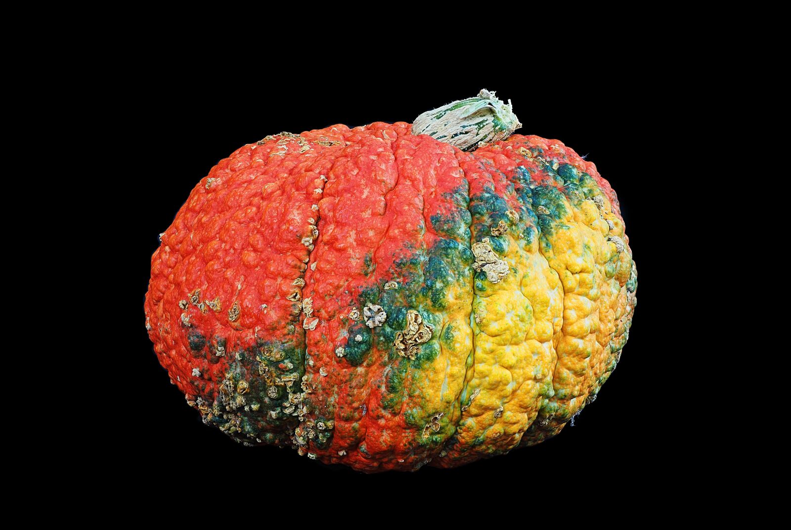 Olympus OM-D E-M1 Mark II + Olympus M.Zuiko Digital ED 12-40mm F2.8 Pro sample photo. Squash, pumpkin, ugly photography