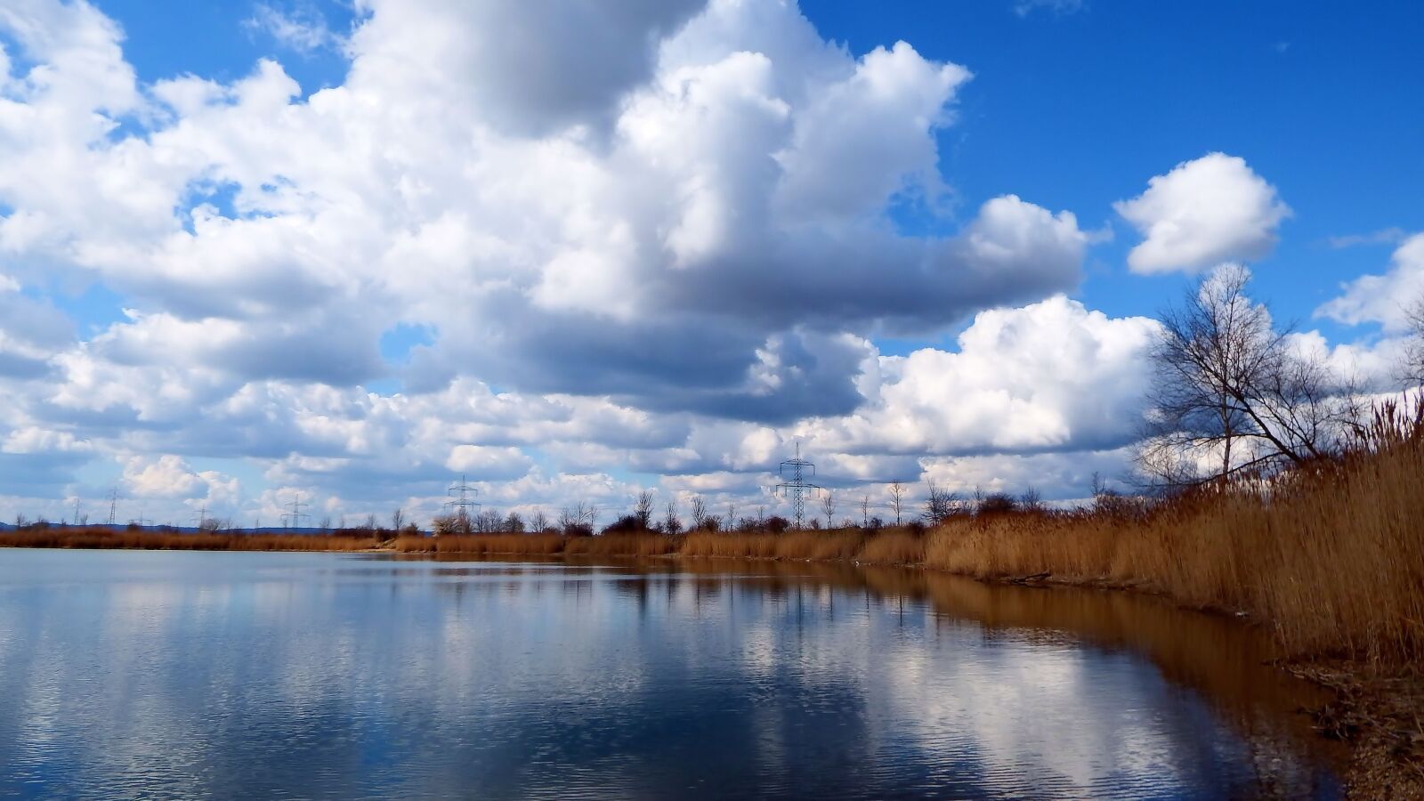 Fujifilm FinePix SL1000 sample photo. Clouds, cumulus clouds, reed photography