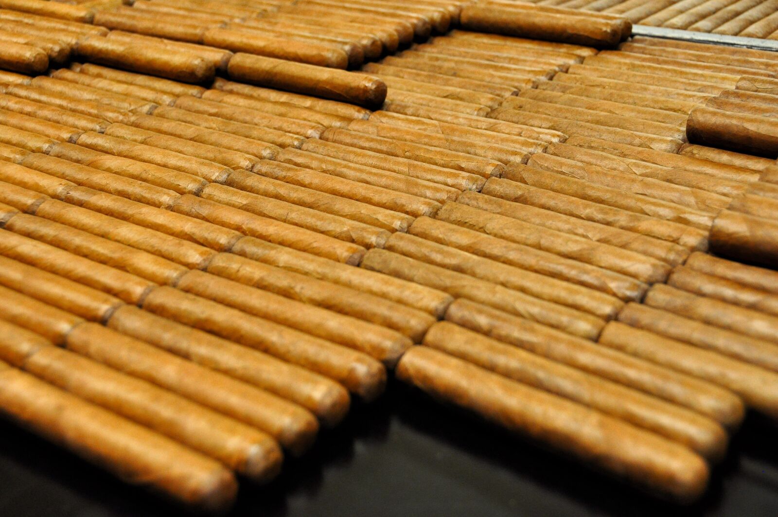 Nikon D90 sample photo. Cigars, cigar factory, dominican photography