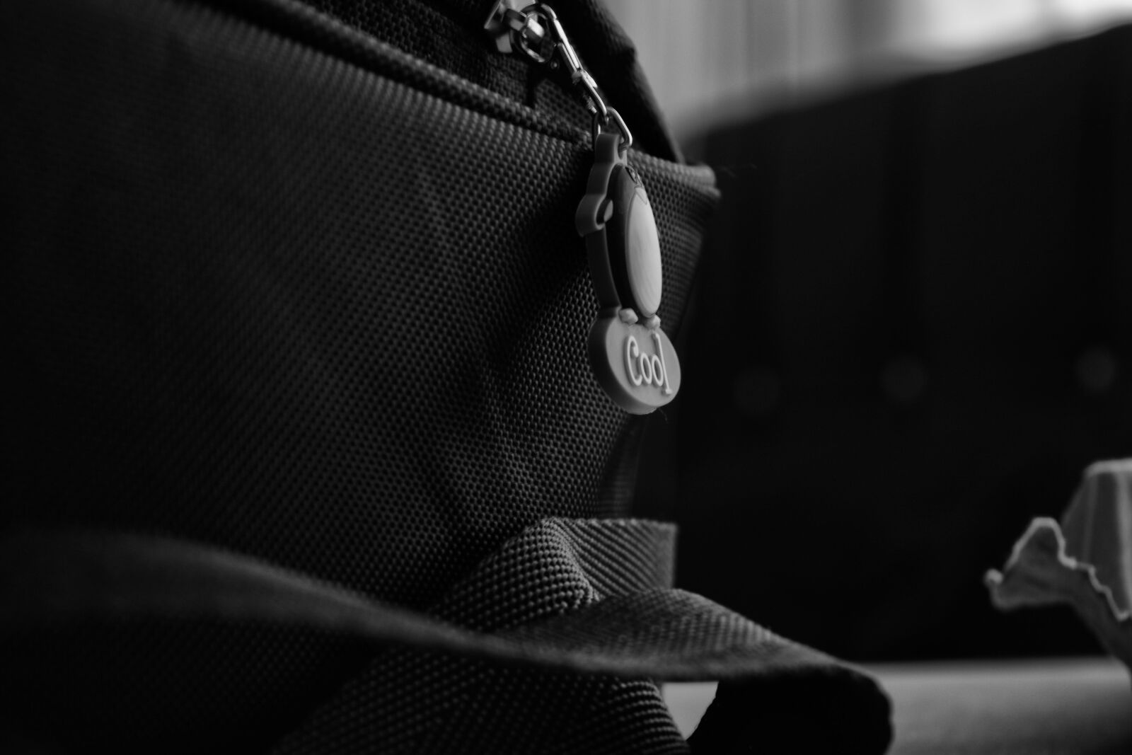 Nikon D5200 sample photo. Bag, zipper, strap photography