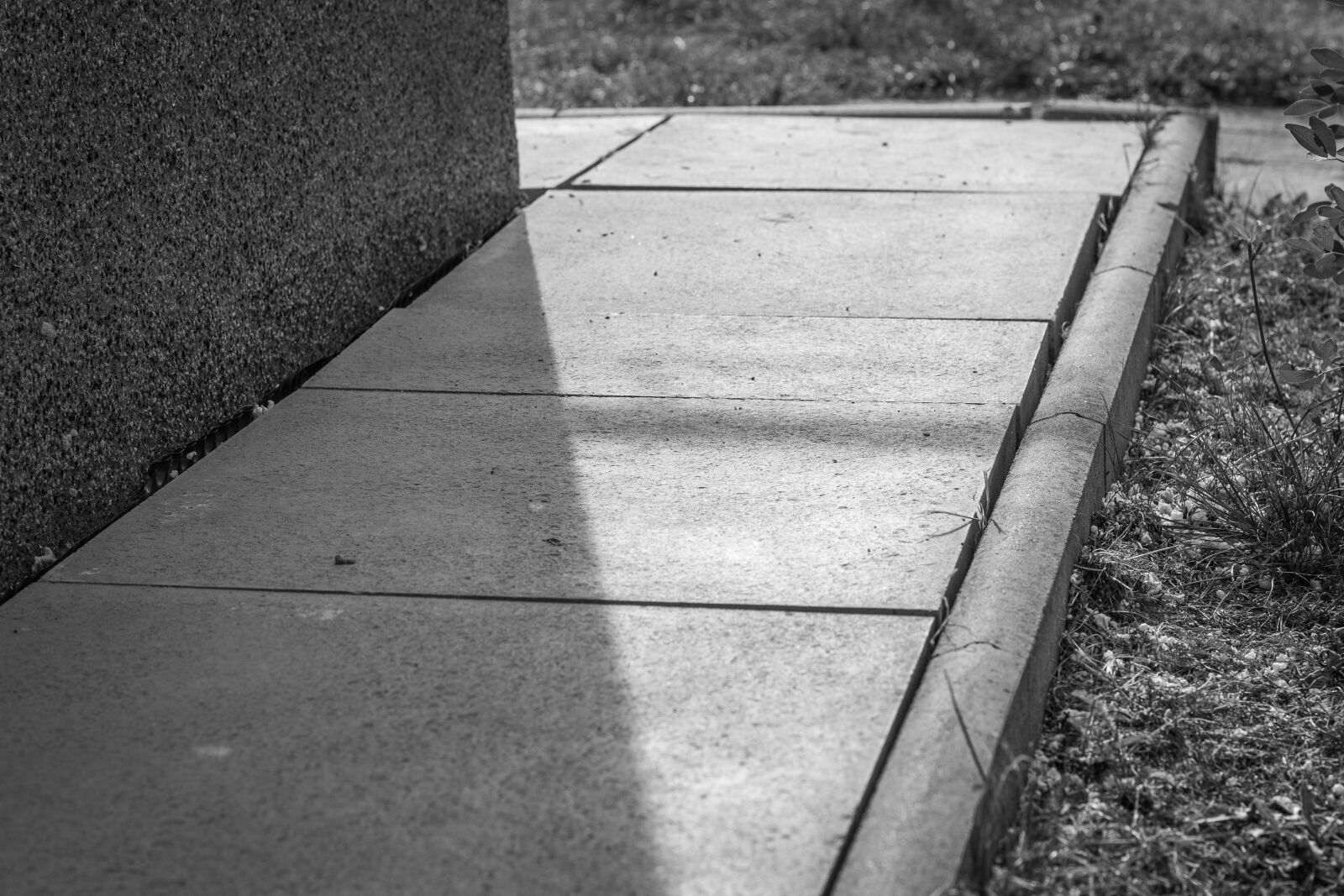 Canon EOS 700D (EOS Rebel T5i / EOS Kiss X7i) + Canon EF 50mm F1.8 STM sample photo. Path, walking, walk photography