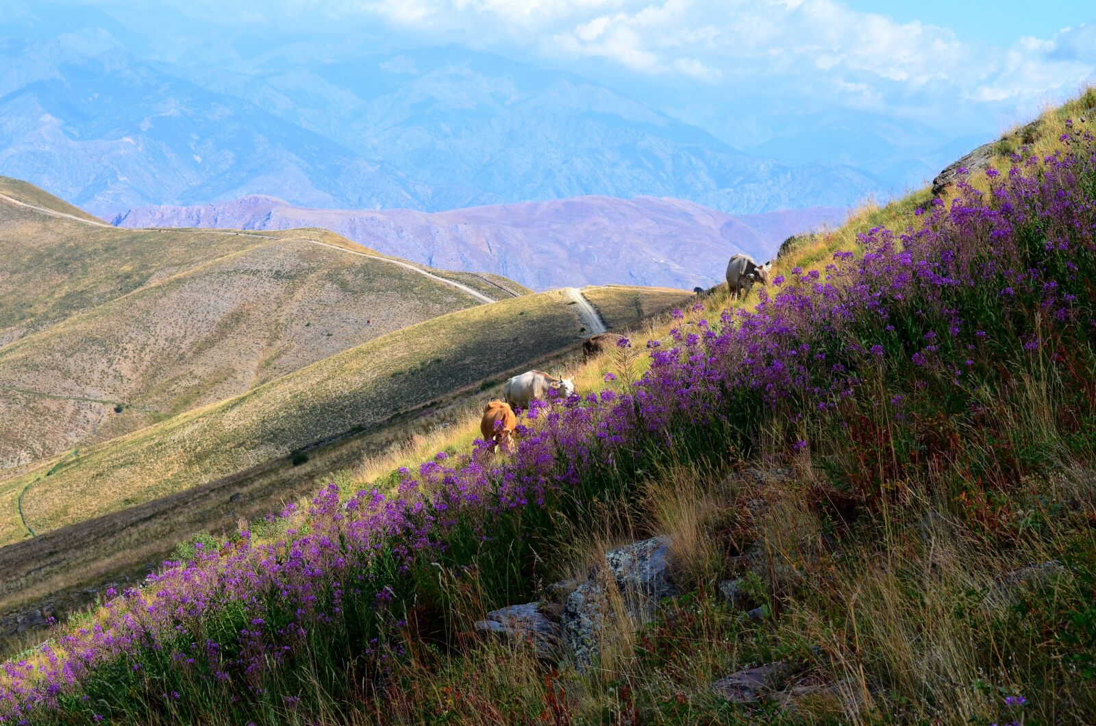 Nikon D5100 sample photo. Eastern black sea, landscape photography