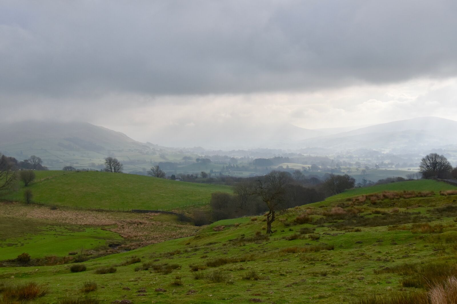 Nikon D5600 sample photo. Yorkshire, english countryside, england photography