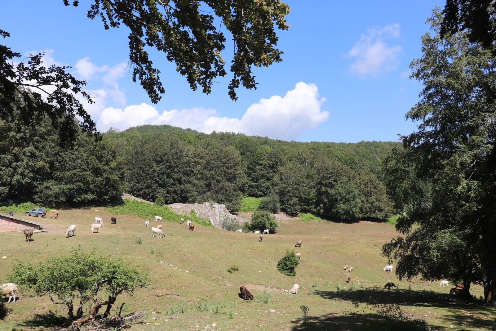 Canon EF-S 18-135mm F3.5-5.6 IS STM sample photo. Alburni, cilento national park photography