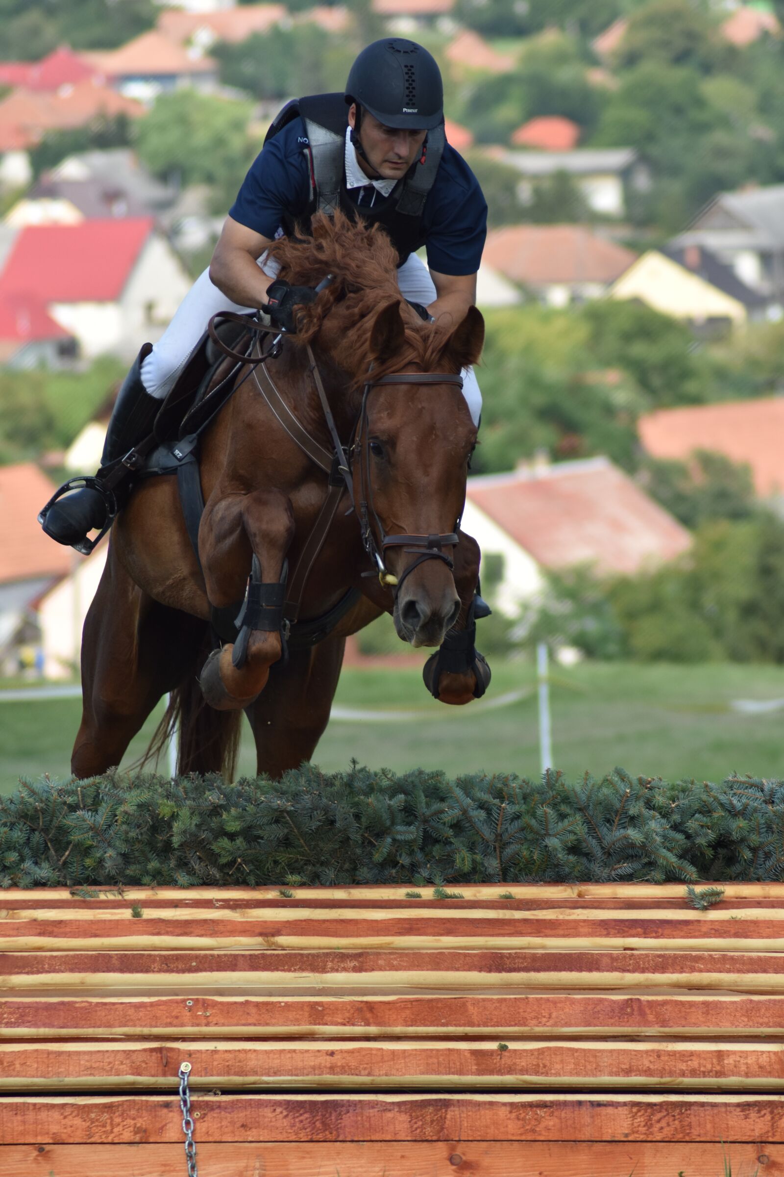 Nikon D3400 sample photo. Rider, show jumping, competition photography