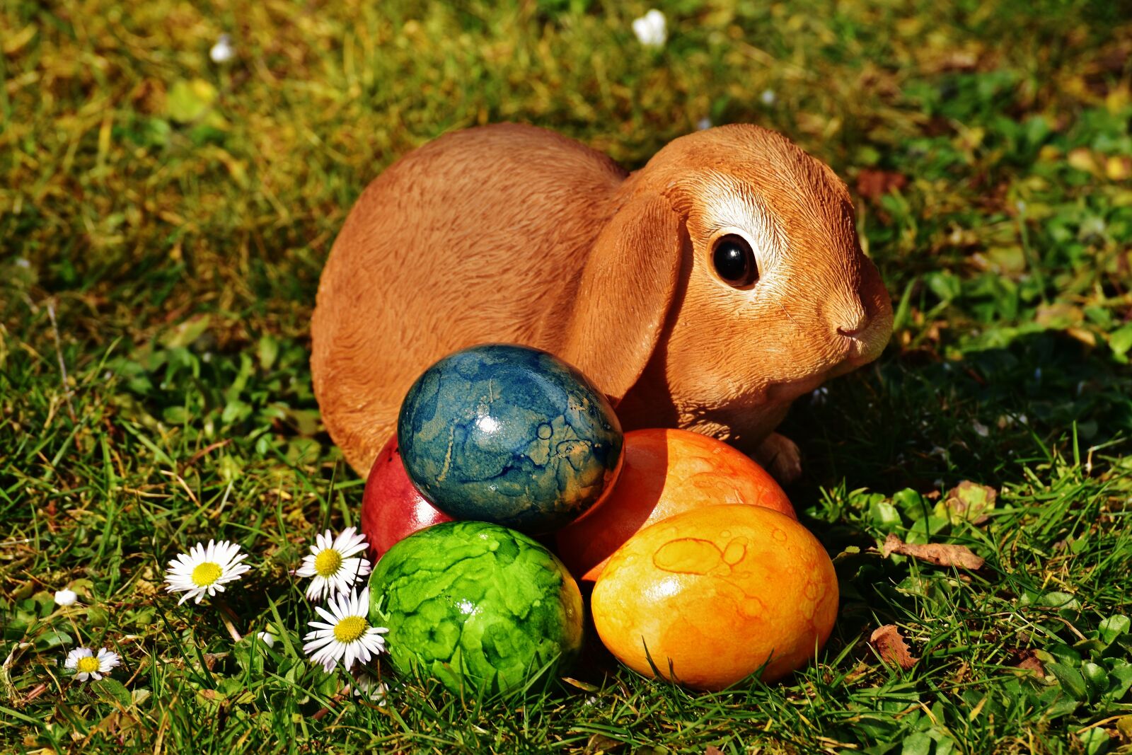 Nikon D7200 sample photo. Easter, easter bunny, egg photography