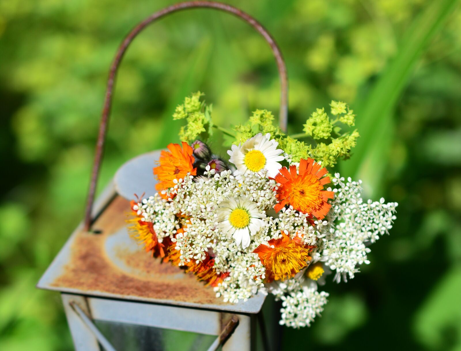 Nikon D5200 sample photo. Wildflowers, wild flowers, bouquet photography
