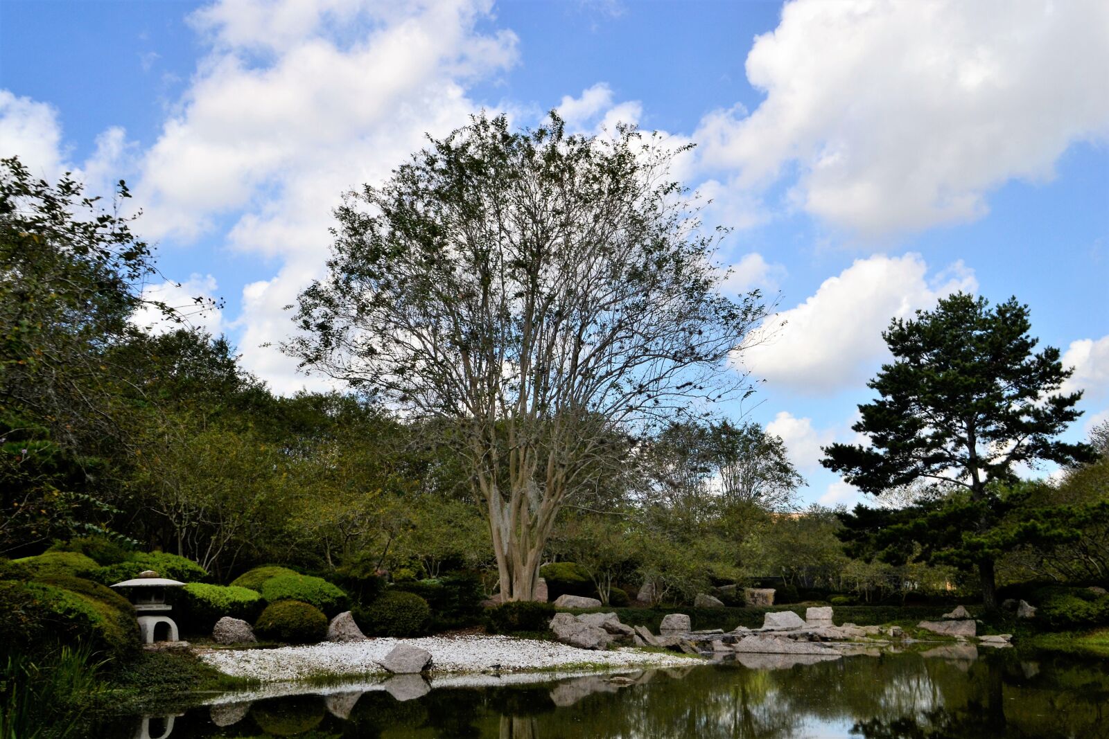 Nikon D3100 sample photo. Japanese garden, houston, texas photography