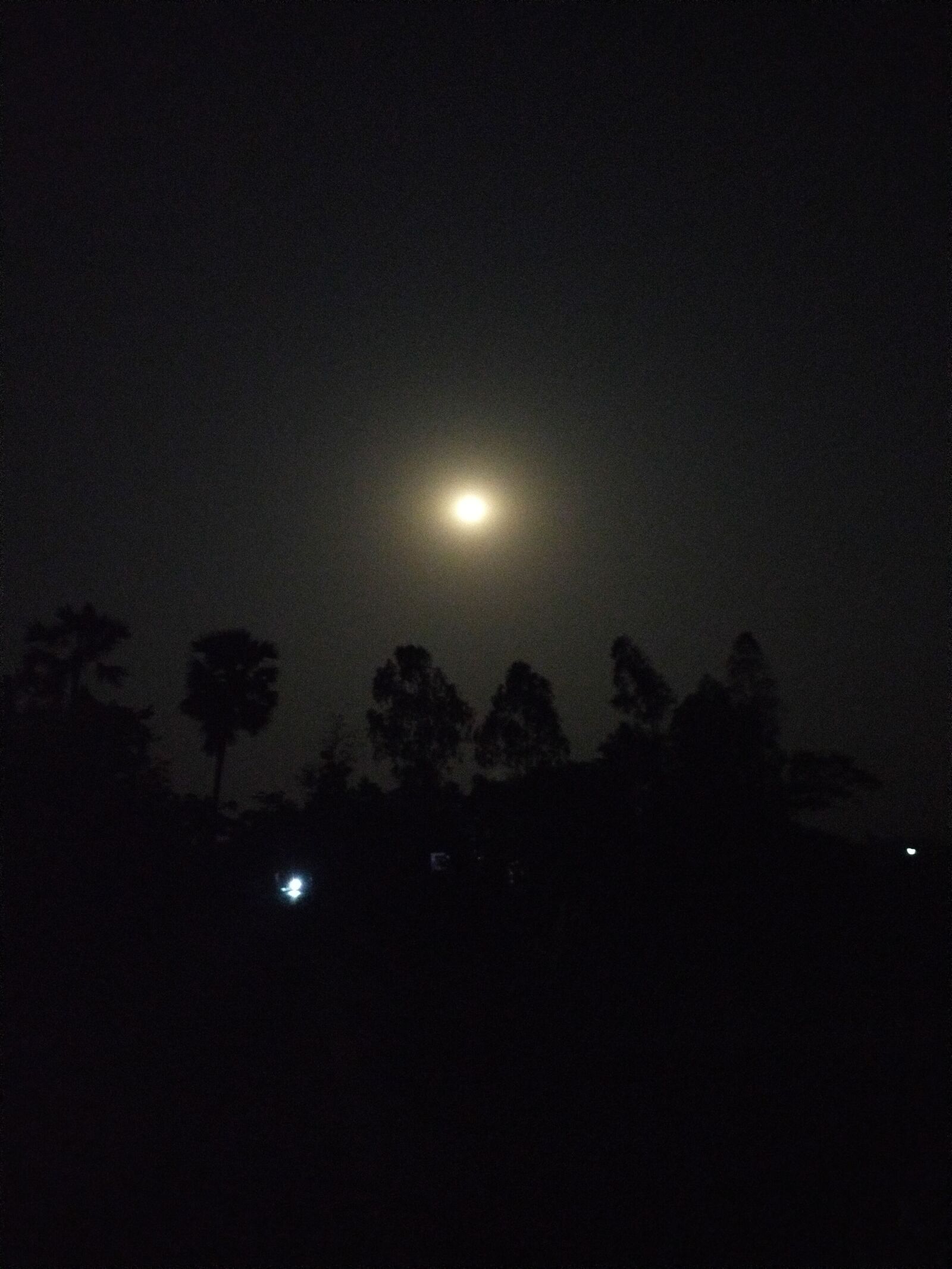 OPPO A9 2020 sample photo. Moonlight, moonlit, night photography