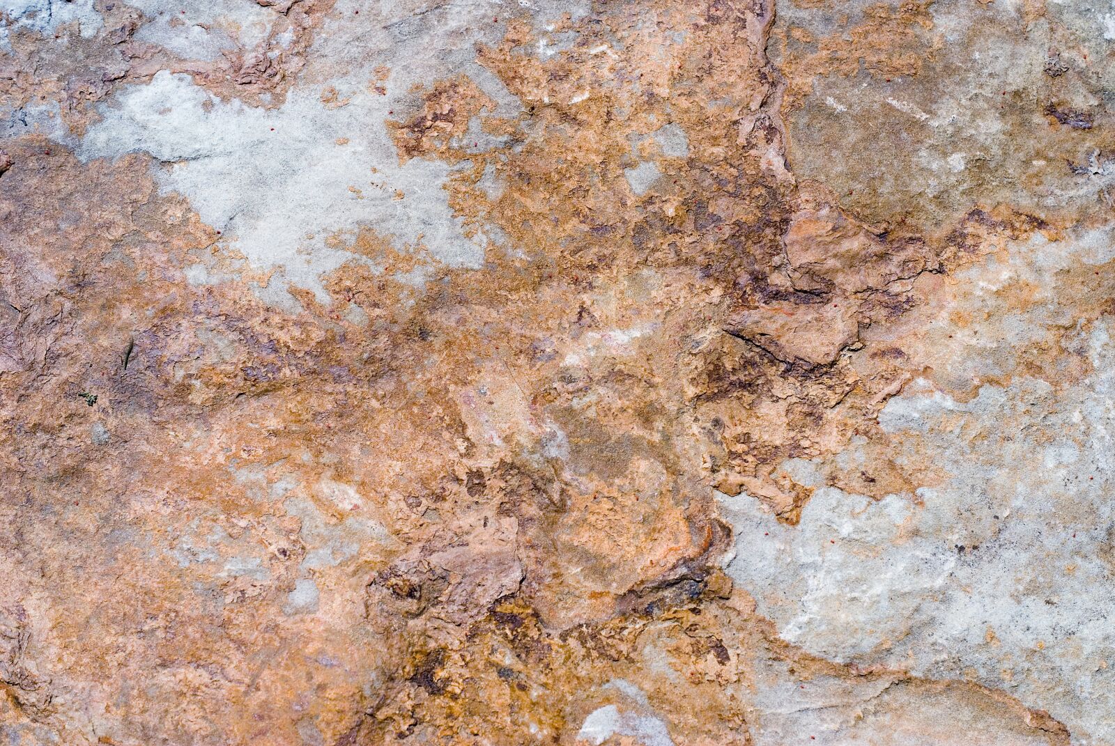 Sony Alpha DSLR-A100 sample photo. Background, rock, stone photography