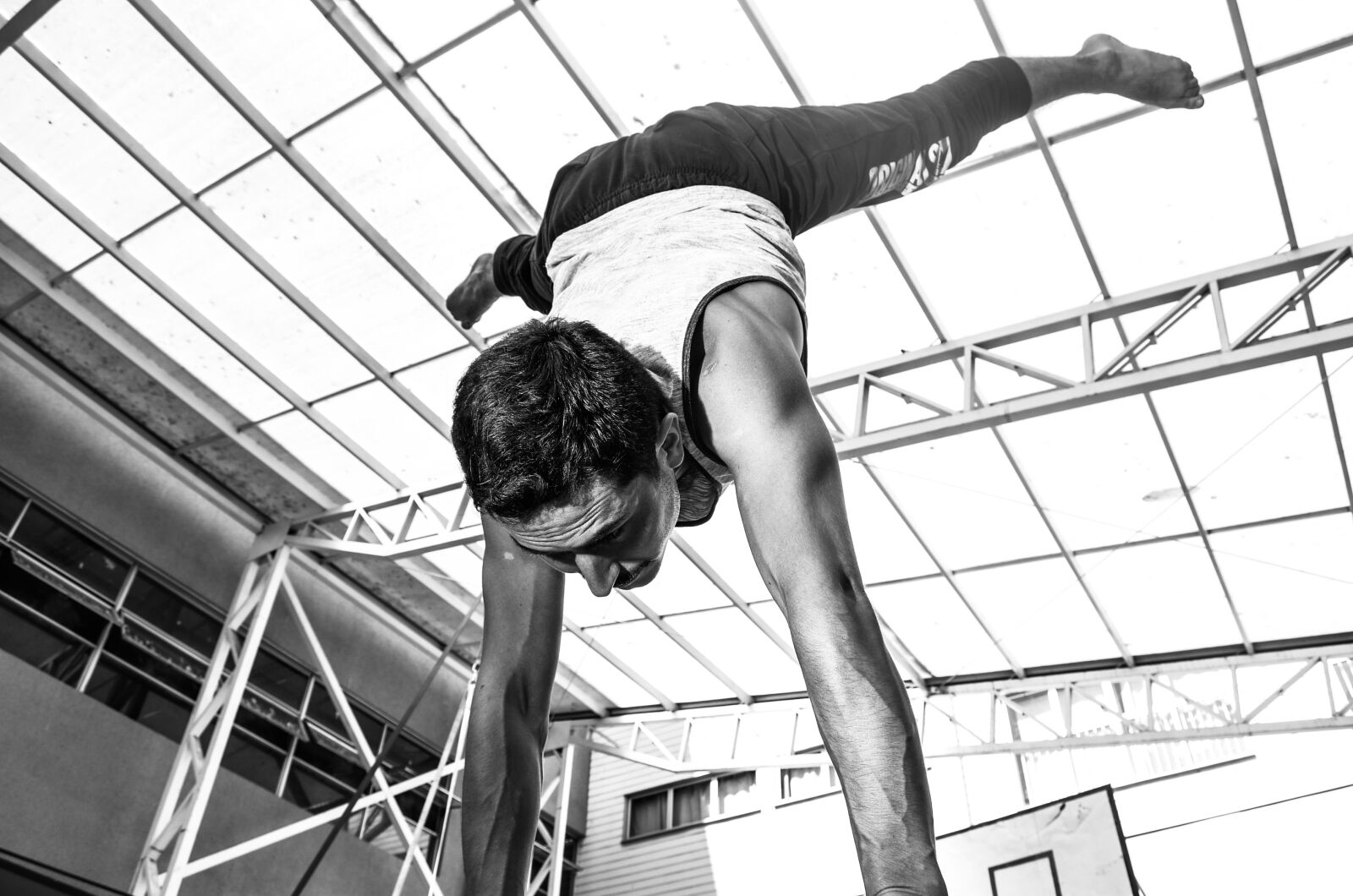 Nikon D5100 sample photo. Force, muscles, bars photography