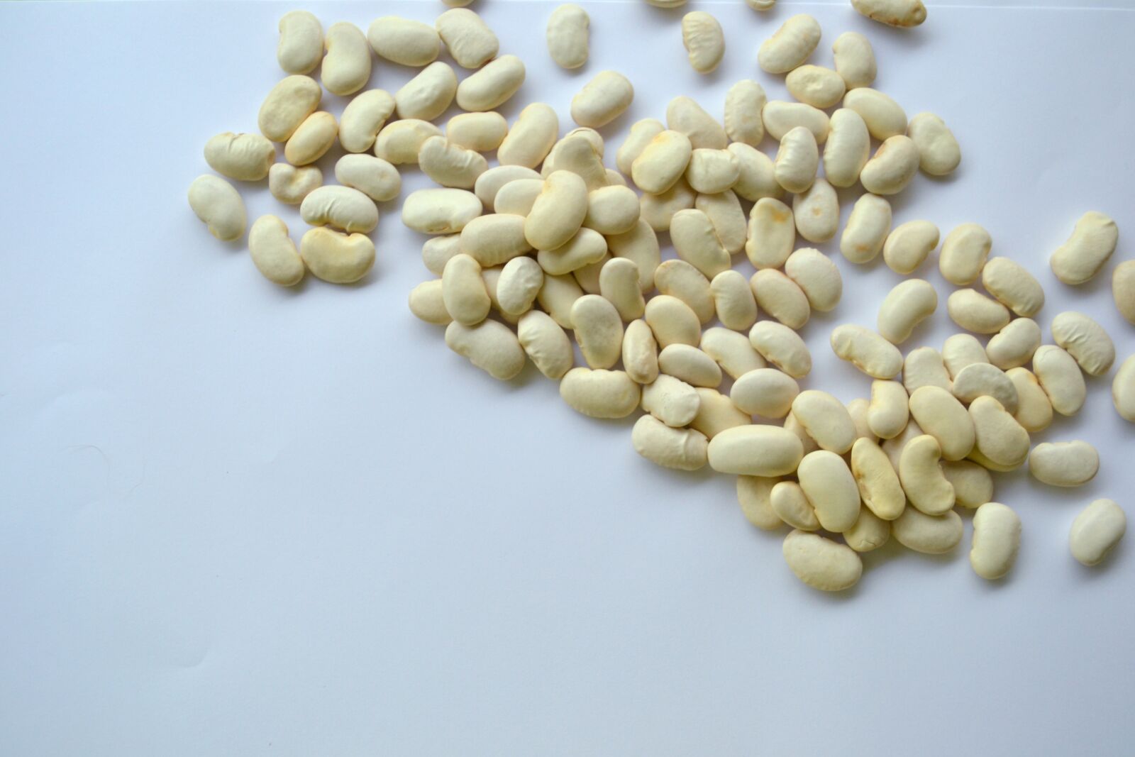 Nikon D3100 sample photo. Legumes, beans, dry photography