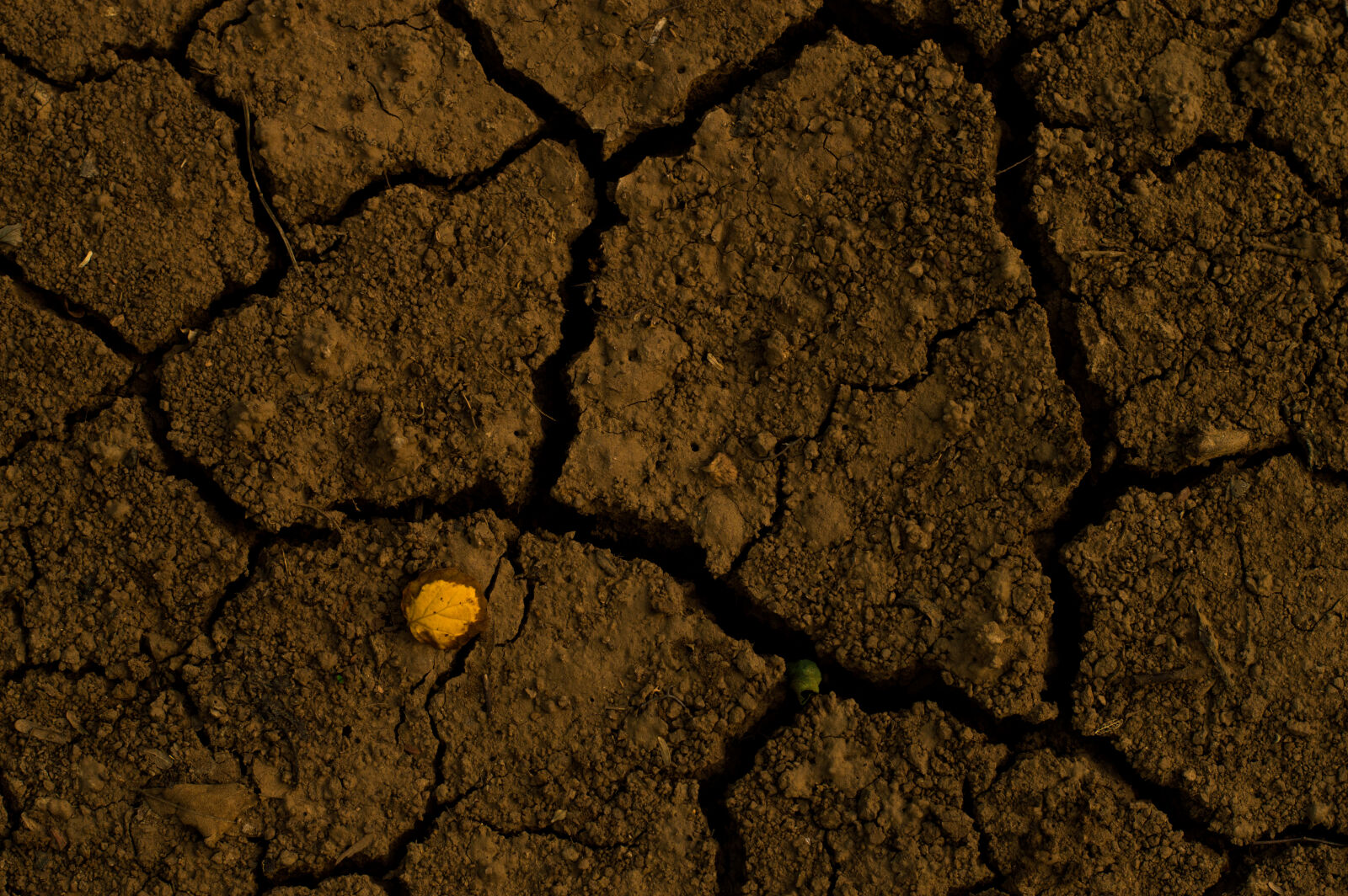 Nikon D3200 + Nikon AF-S Nikkor 50mm F1.8G sample photo. Earth, texture photography