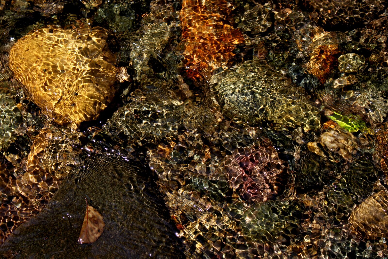 Canon EOS 500D (EOS Rebel T1i / EOS Kiss X3) sample photo. Water, reflection, kennedy photography
