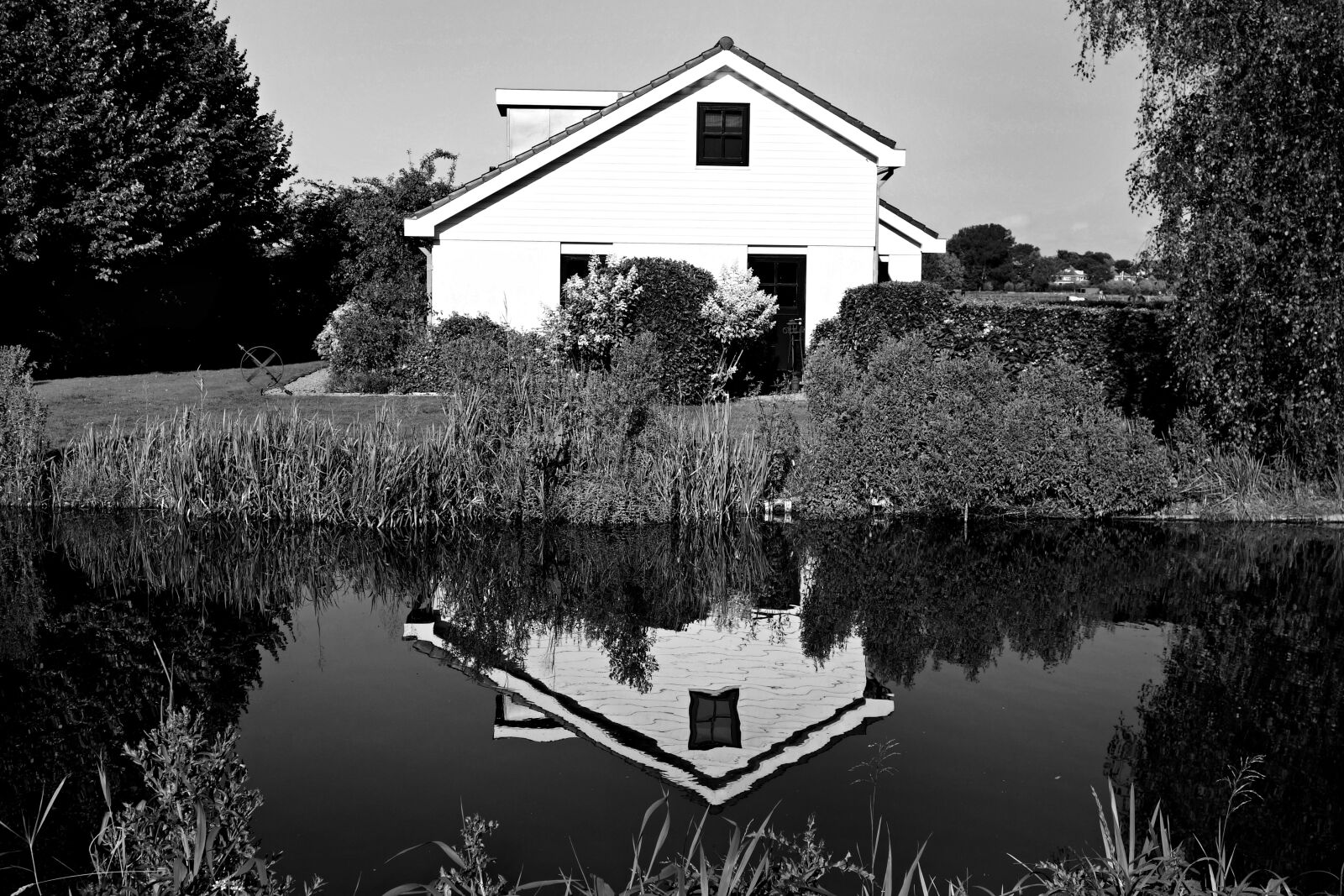 Sony Cyber-shot DSC-RX100 sample photo. Black, and, white, water photography