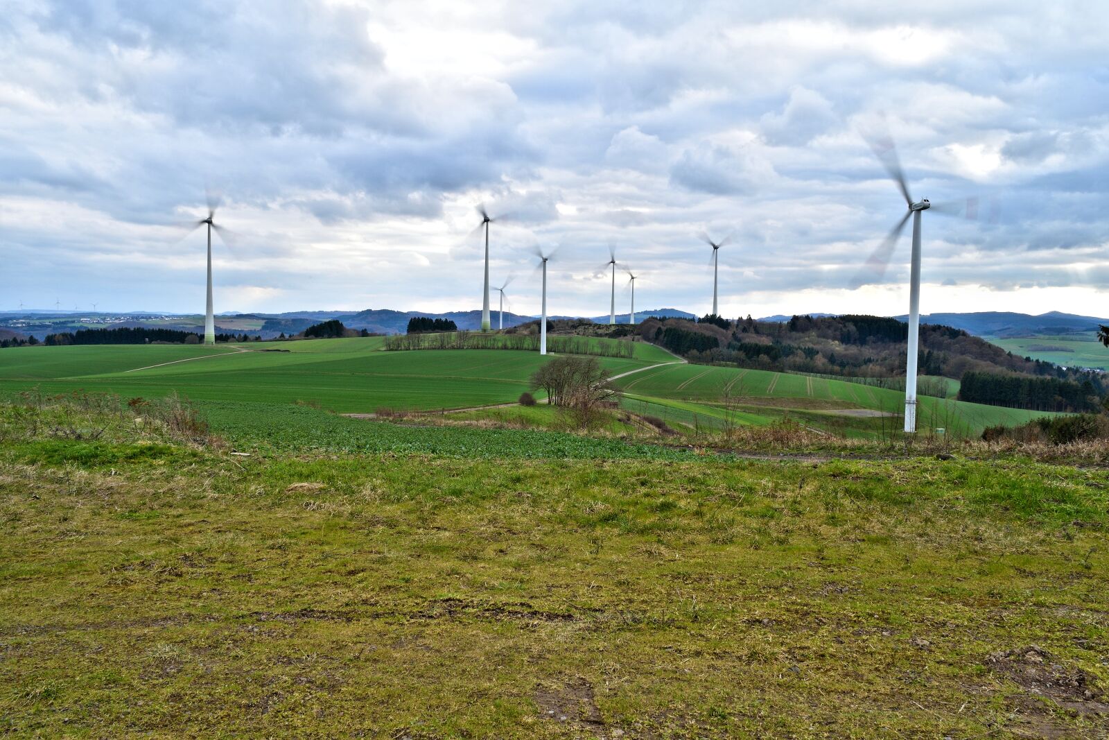 Nikon D5500 sample photo. Pinwheel, windr der, wind photography