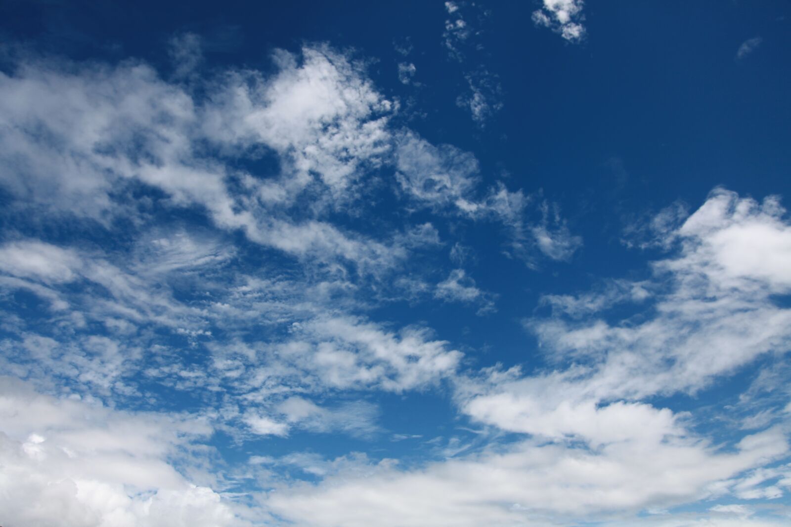 Canon EOS 5D Mark II sample photo. Blue sky, white cloud photography