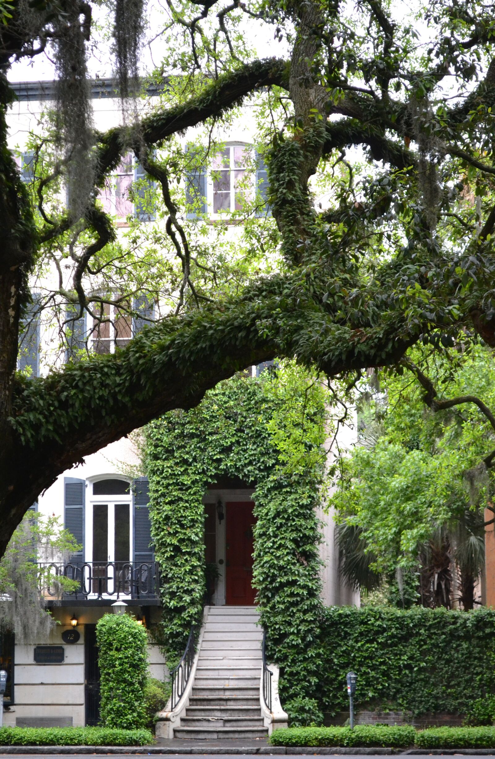 Nikon D3100 sample photo. Savannah, georgia, southern photography